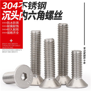 304不銹鋼平頭內(nèi)六角螺絲/沉頭內(nèi)六角螺絲釘