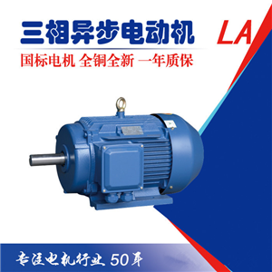 六安江淮電機國家三級能效國標(biāo)三相異步電動機