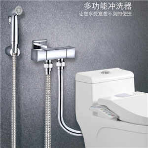 達(dá)柏林閥門(mén) 家用水控系統(tǒng) 多功能沖洗器